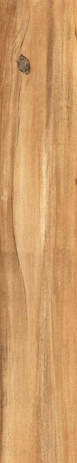 CORBETT TEAK