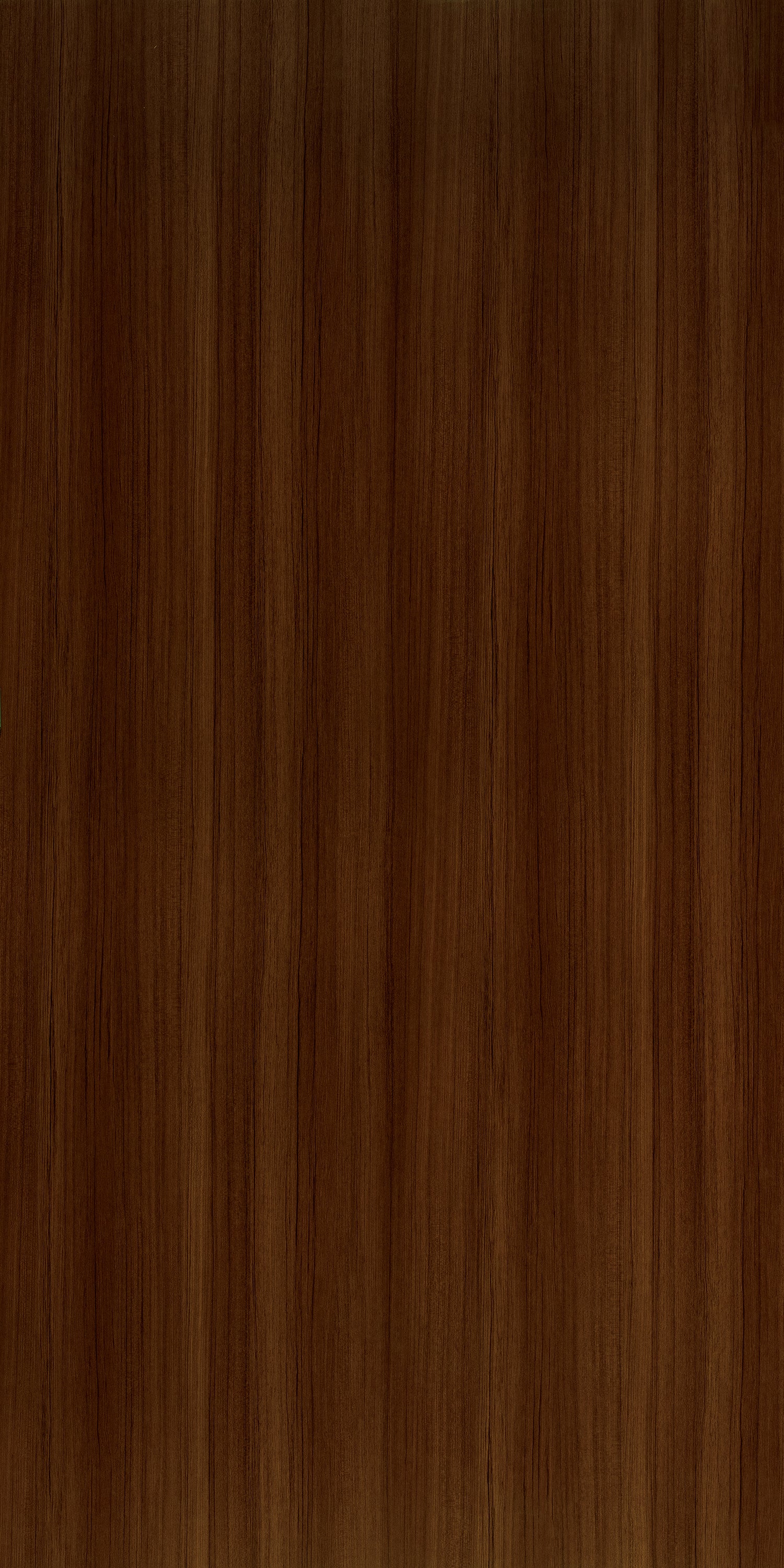 3091 TEAK GOLD