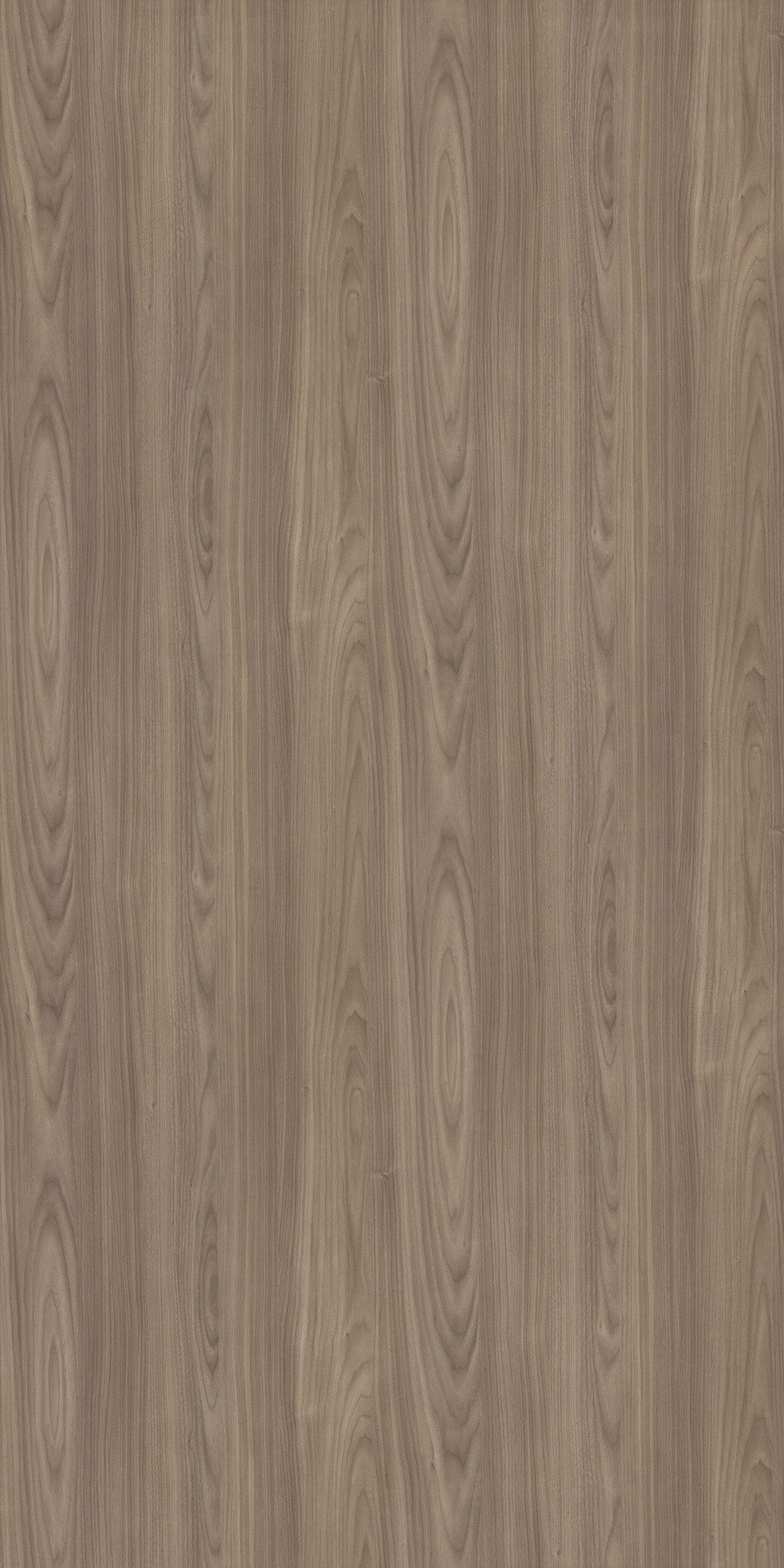 20251***NATURAL PERSIAN WALNUT