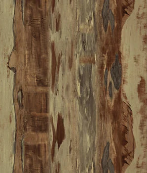 4109 RE27 ANCIENT WOOD ARICA